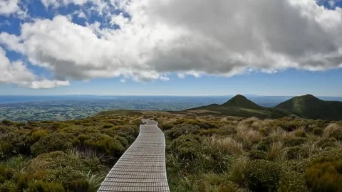 Scenic Boardwalk Through Lush Native Bush on the Mangorei Track to Pouakai .. Stock Footage 285373865