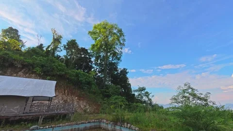 Scenic Cabin Surrounded by Lush Greenery Stock Footage 303329894