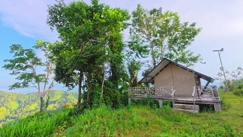 Scenic Cabin Surrounded by Lush Greenery Stock Footage 303333991