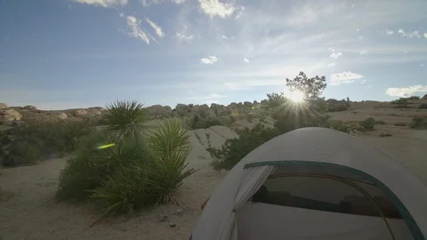 Scenic camping tent with green cactus, smooth brown arid desert boulders and Stock Footage