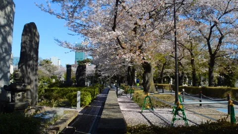 Scenic cemetery view 動画素材 127034130