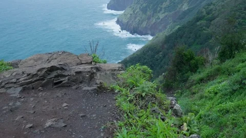 Scenic cliffside view over a rugged verdant coastline Vídeos de archivo 333695993