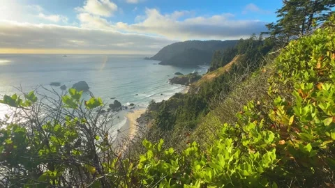 Scenic Coastal Cliffs and Beaches at Ecola State Park Oregon Stock Footage 341993120