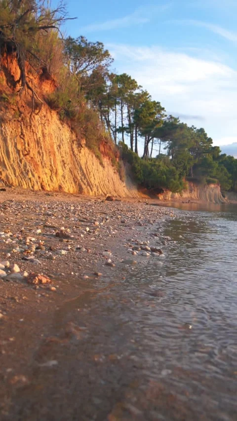 Scenic coastal landscape featuring a steep earthen cliff alongside pines Stock Footage 337417185