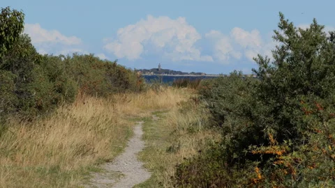 Scenic coastal path leading to the lighthouse on the island of hiddensee Stock Footage 343860428