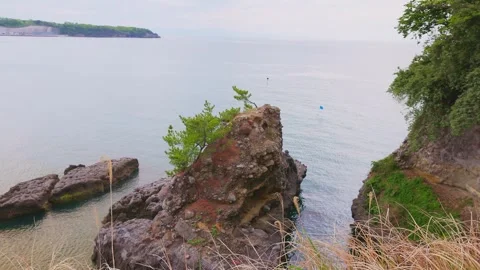 Scenic Coastal Rocks with Pine Trees Overlooking the Sea in Oita Vídeos de archivo 333610748