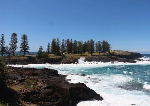 Scenic coastal view with crashing waves and dense pine trees under clear bl.. Stock Photos