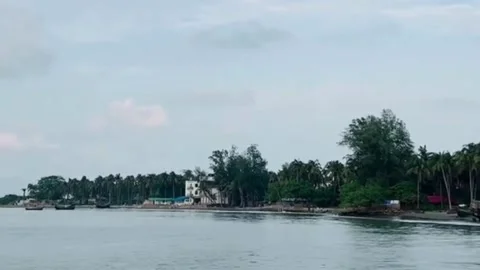 Scenic Coastal View with Palm Trees 스톡 동영상 337945798