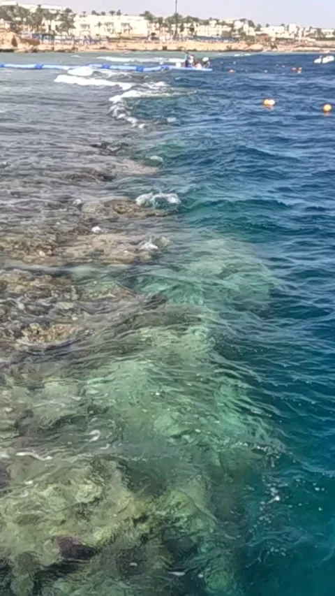 Scenic Coastal Waters Featuring Clear Blue Ocean and Lush Underwater Reef Stock-Footage 330095959
