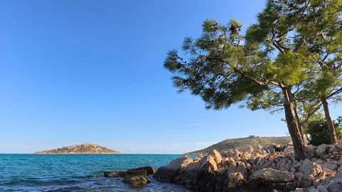 Scenic Coastline with Pine Trees Video stock 346750864