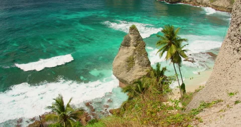 Scenic coastline view of turquoise waves washing over sandy beach with lush palm Stock Footage 327498901