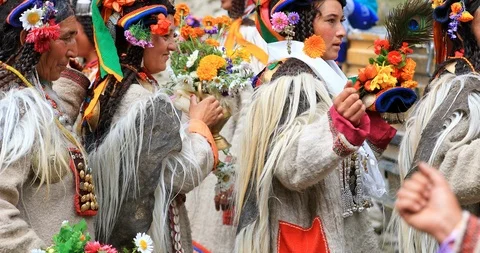 Scenic costumes and dance performance from tribal people in Ladakh, Himalaya Stock Footage 87617798