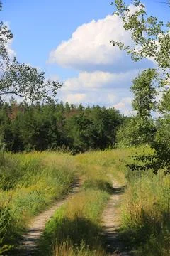 Scenic countryside path surrounded by trees under blue skies Stock Photos