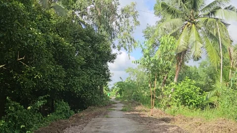 Scenic countryside path through lush tropical gardens in Mekong Delta, Vietnam. Stock Footage 340501055
