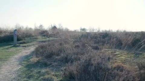 Scenic countryside path through a sunny grass field Vidéo 335027280