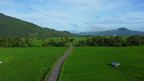 Scenic Countryside Rice Fields Landscape in West Nusa Tenggara Video stock 330085875