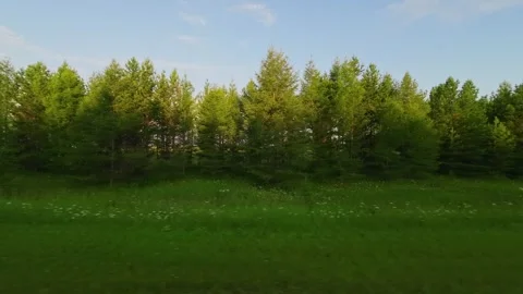 Scenic countryside view from car window Stock Footage 345911969