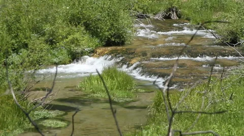 Scenic Creek flows over rock steps Stock Footage 40355073