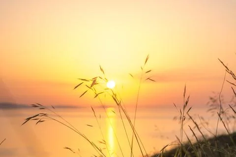 Scenic dawn Foto stock