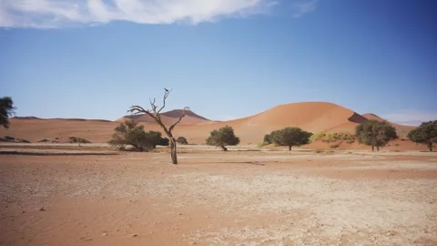 Scenic desert landscape in Namibia with big orange sand dunes and dry land, afri Stock Footage 333375250
