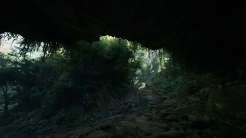 A scenic dirt path surrounded by lush trees inside a captivating cave Vídeo Stock 248719699