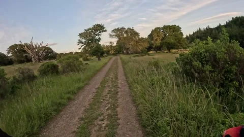 Scenic Dirt Path Through Lush Green Landscape on Bike Vídeos de archivo 333010127