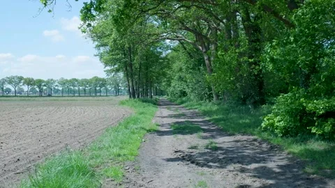 Scenic dirt road running between forest and plowed farmland Stock Footage 336903232