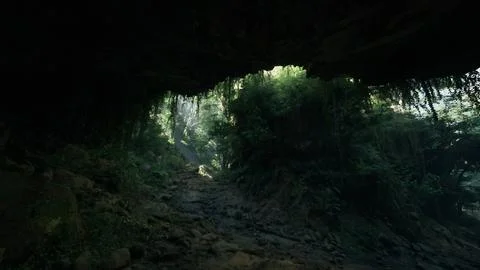 A scenic dirt road surrounded by lush trees. mountain path イラスト素材