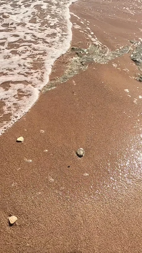 A Scenic Display of Smooth Rocks Emerging from Sandy Shoreline as Waves Gently 库存影片 330094905