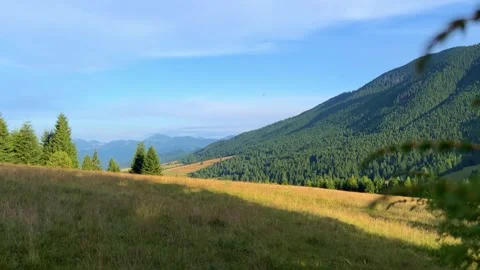 Scenic Distant Mountain View from a Grassy Meadow Beneath a Forest Edge Stock Footage 312951538