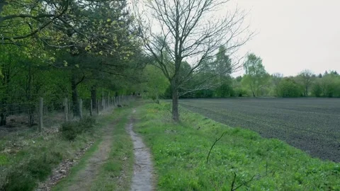 Scenic dolly zoom effect on a rural path Stock Footage 336594533