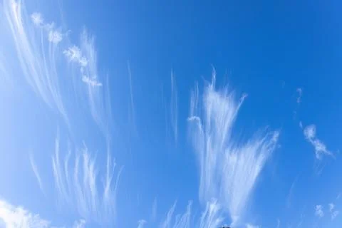 Scenic dramatic summer clouds. Cloudscape of bright blue sky. Cloud backgroun Stock Photos