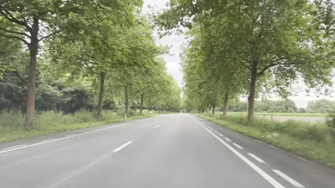 A scenic drive along a tree-lined road, a shady route in the middle of a hot sum 스톡 동영상 283757131