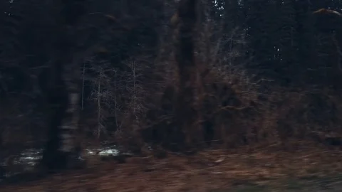 Scenic Drive 動画素材 89182840