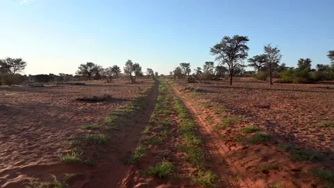 Scenic Drive Vídeos de archivo 132826111