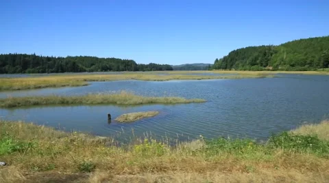 Scenic  drive, lake Stock Footage 52456758
