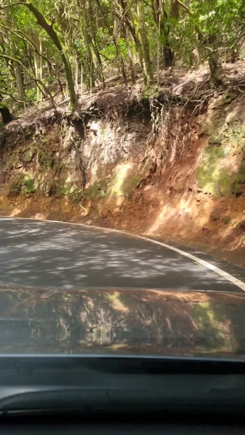 A scenic drive through the Anaga Forest, Tenerife, Canary Islands, showcasing wi Stock Footage 307635705
