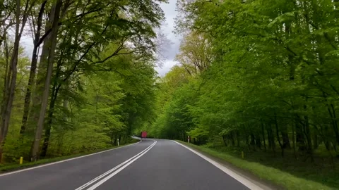 Scenic drive through a forest, view from the car windshield. Stock Footage 289085963
