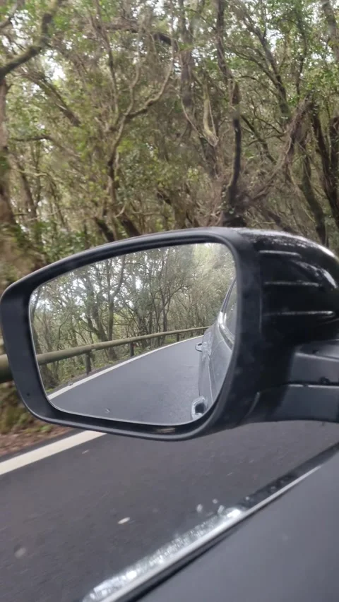 A scenic drive through the lush Aloha Forest in Tenerife, Canary Islands.  Stock Footage 307635605