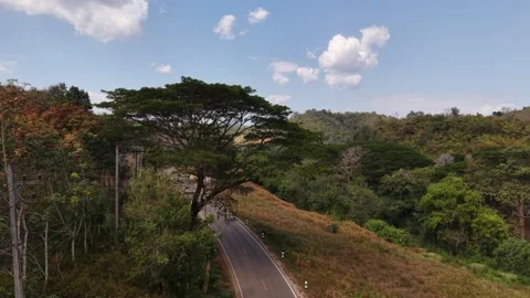 Scenic Drive Through Mountain Forest Landscape Stock Footage 327506209