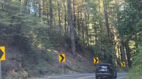 Scenic Drive Through Redwood Forest Near Crescent City 库存影片 342177331