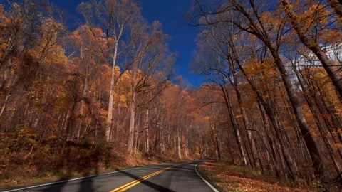 Scenic drive through a vibrant fall forest, with colorful fall foliage 스톡 동영상 322538185