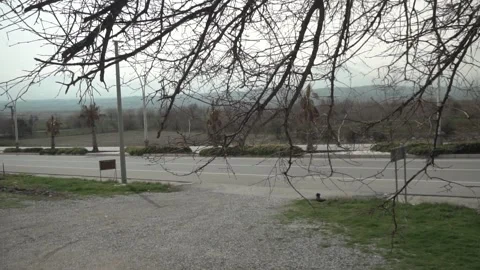 Scenic Drive: Tree-Lined Road in High Definition Stock Footage 234908653