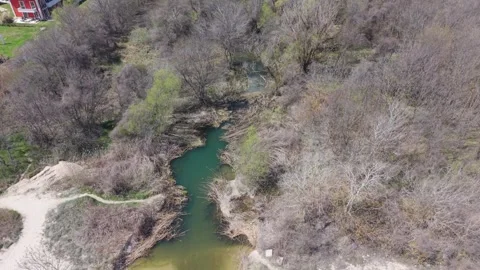 Scenic Drone Flight Over Blooming Forest Trees During Peaceful Spring Season Stock Footage 332938939