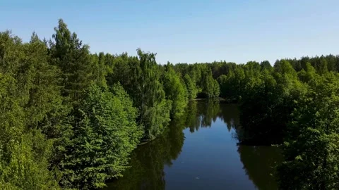 Scenic Drone Shot of River Winding Through Green Forest - 4K Video Video stock 341761876