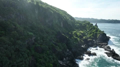 Scenic Drone View of Bukit Pengilon and Siung Beach Coastline Video stock 309511656
