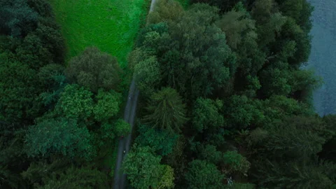 Scenic drone view on cyclists riding forest road Stock Footage 188474763