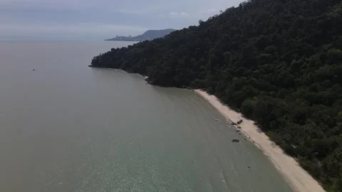 Scenic drone view over Penang’s dense tropical forest and rolling hills Video stock 308064014