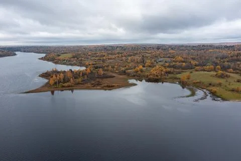 Scenic drone view of a small peninsula covered in vibrant yellow birch trees 库存照片