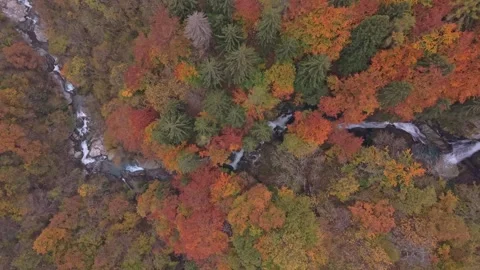 Scenic drone view of vibrant blue river in fall forest, Switzerland. Stock Footage 321486548